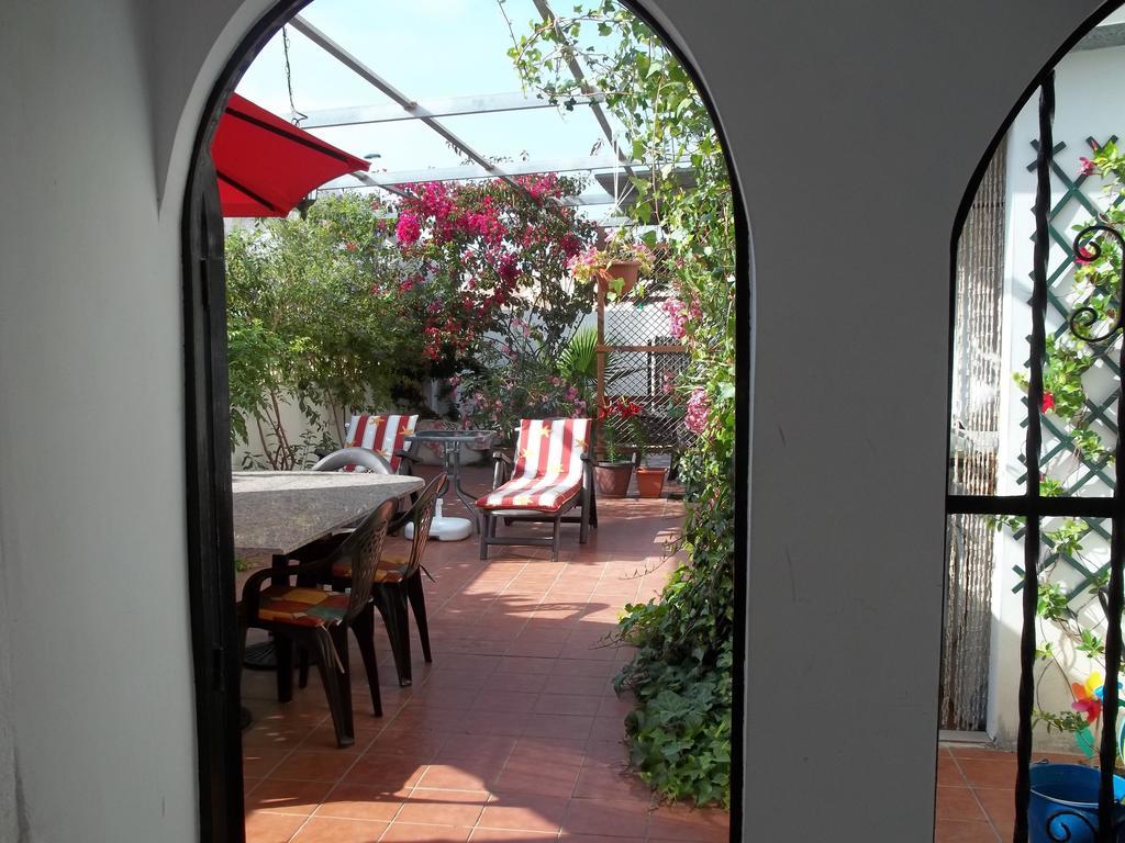 Madamme Curie Apartment Torrevieja Exterior foto